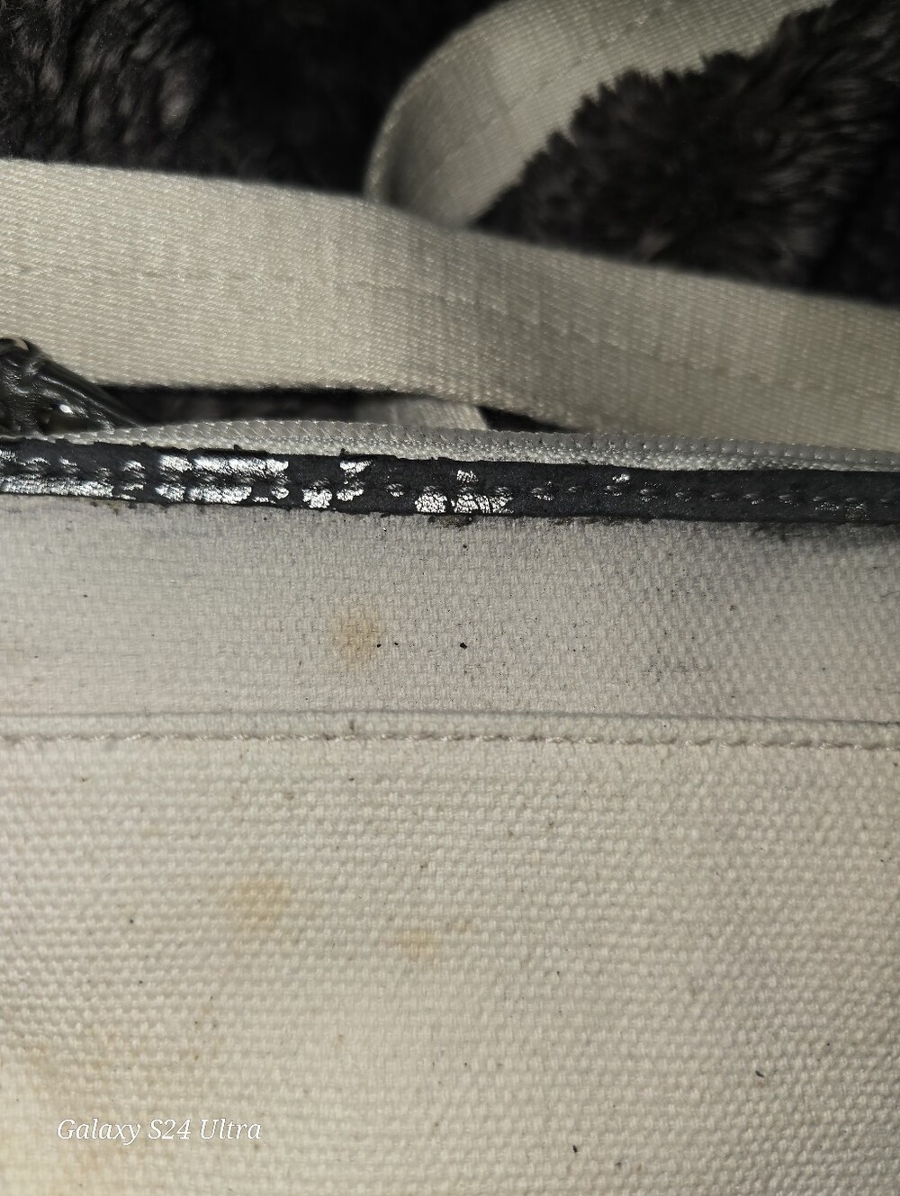 Nwt Coach Limited Edition Starfish Crossbody Bag Vintage - Picture 3 of 5